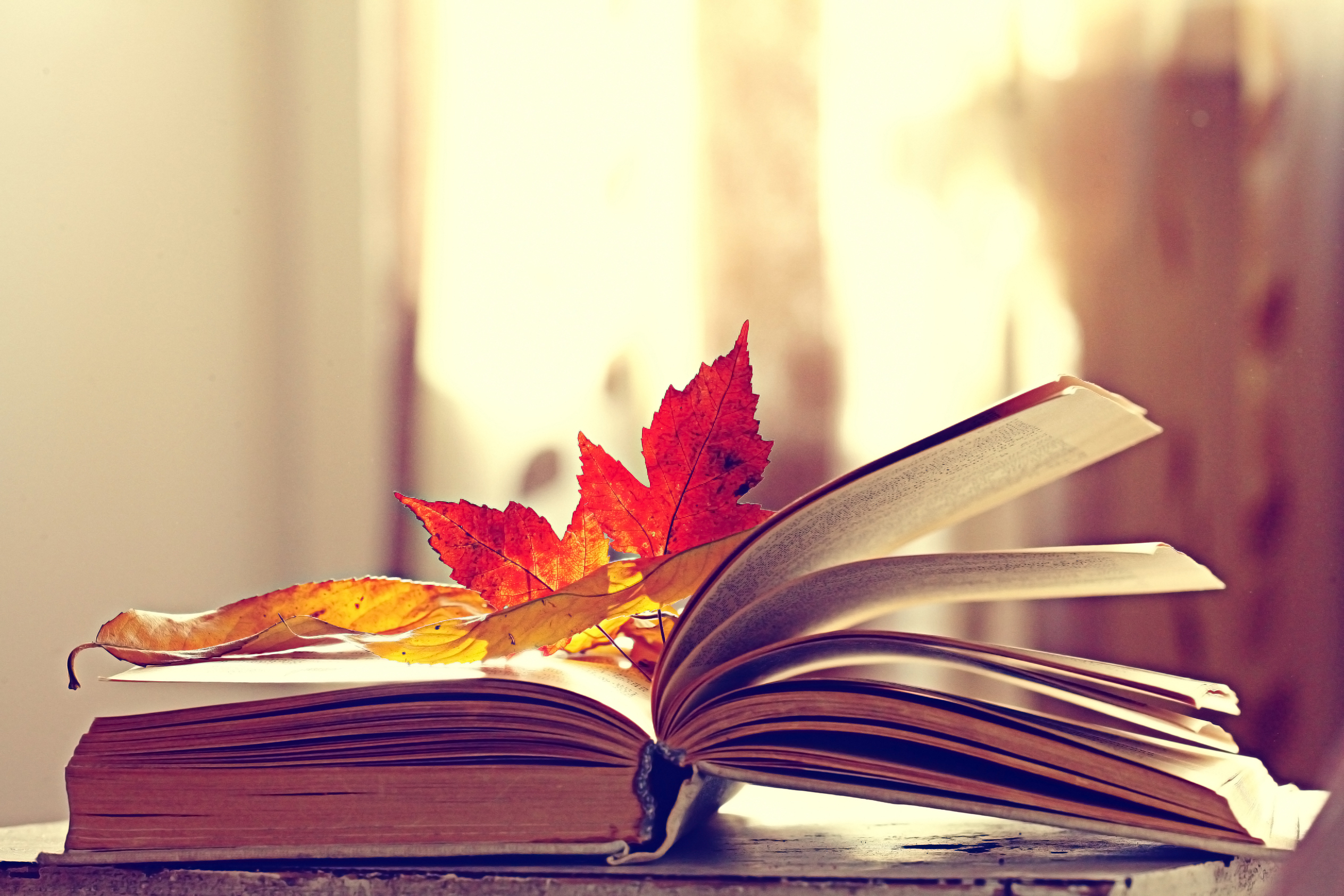 If you're in the mood for a fall day, add these nine reads to your library holds, and you won't regret it.
