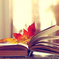 'Bella's Fall Coat' and other nostalgia-inducing picture books to read with your kids