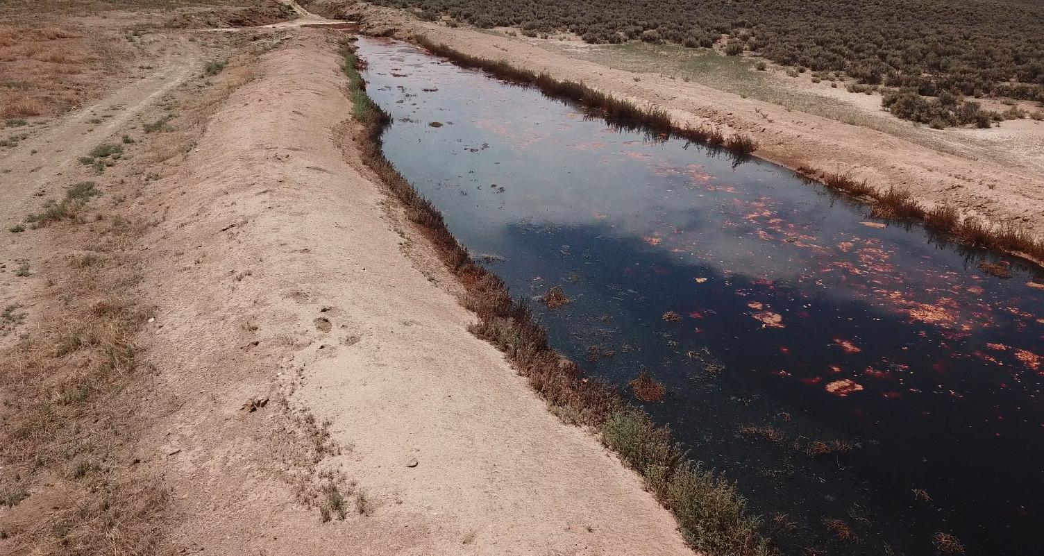 A view from KSL-TV’s drone shows a pond of rotting milk and algal blooms on property in Greenville, Utah.