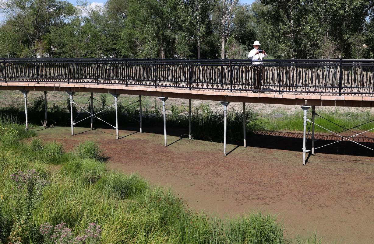 West Jordan Mayor Dirk Burton takes a photo while touring the Rose Park Jordan River Watershed Project Cornell Wetland Area in Salt Lake City on Thursday.