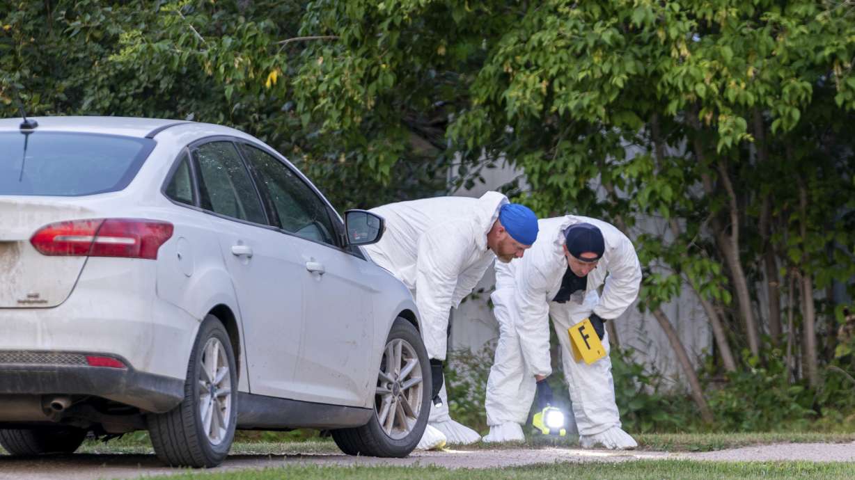 Investigators examine the ground at the scene of a stabbing in Weldon, Saskatchewan on Sunday. A series of stabbings at an Indigenous community and at another in the village of Weldon left multiple people dead and others wounded.