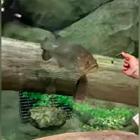 Have You Seen This? The ultimate fishing hack