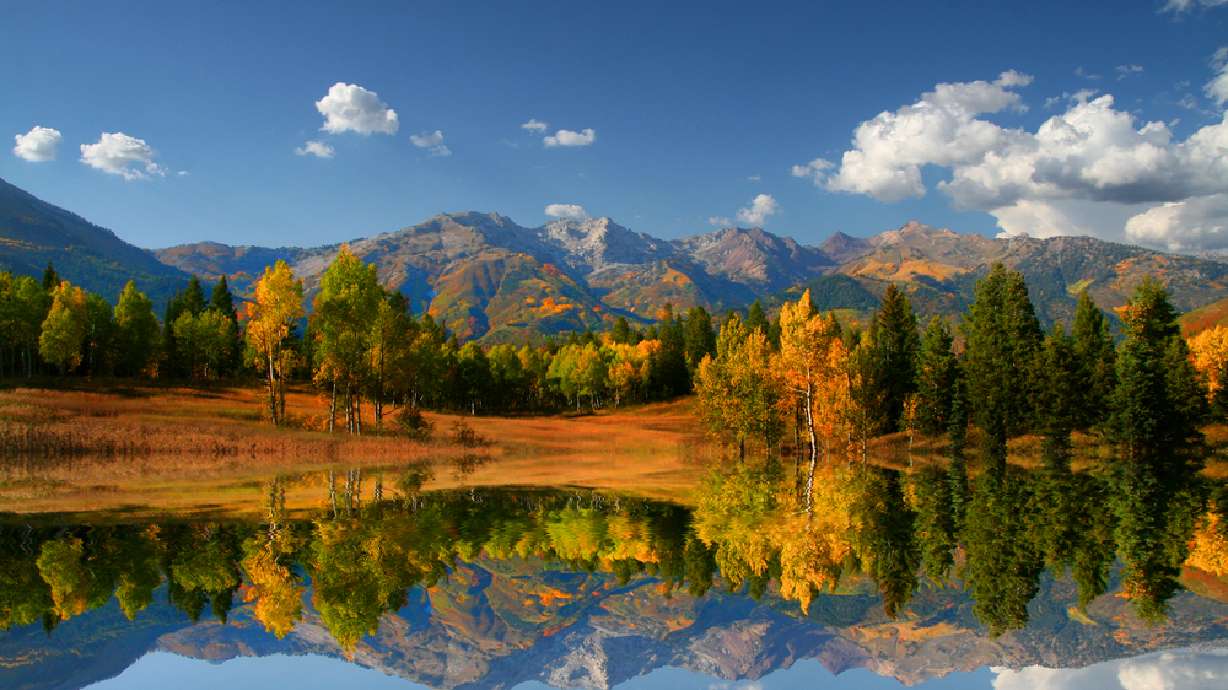 3 reasons you usually don't need to water in October