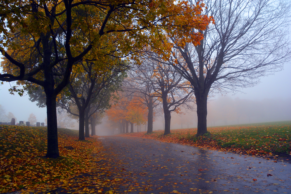 3 reasons you usually don't need to water in October