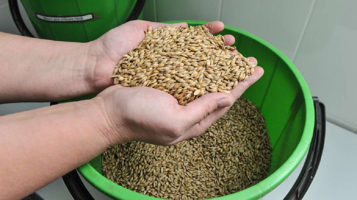 Utah company advises you to check your food storage