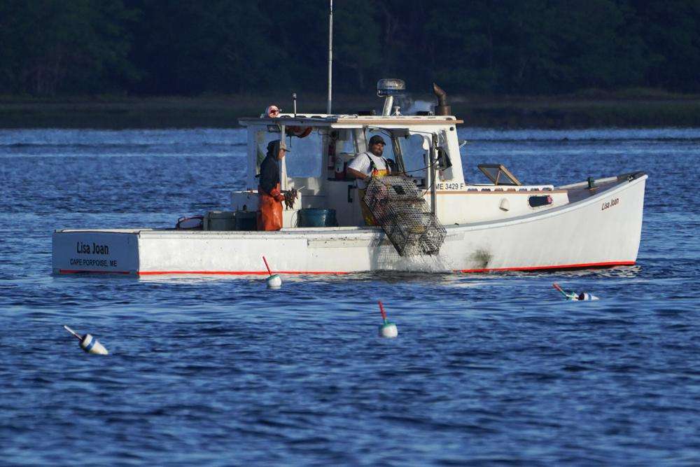 A lobster fisherman hauls a trap, Thursday, off of Kennebunkport, Maine. The conservation group Seafood Watch has added lobster to its "red list" as a species to avoid. They say current management measures do not do enough to prevent entanglements of fishing gear with whales.