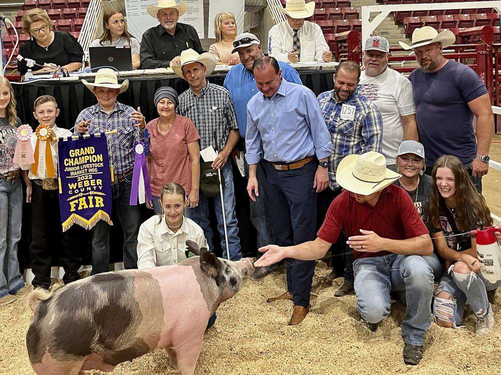 U.S. Sen. Mike Lee, standing center, poses with an award-winning hog at the Weber County Fair in Ogden on Aug. 13. Lee, a second-term Republican, faces a challenge from independent candidate Evan McMullin, who has won support from the state Democratic Party.