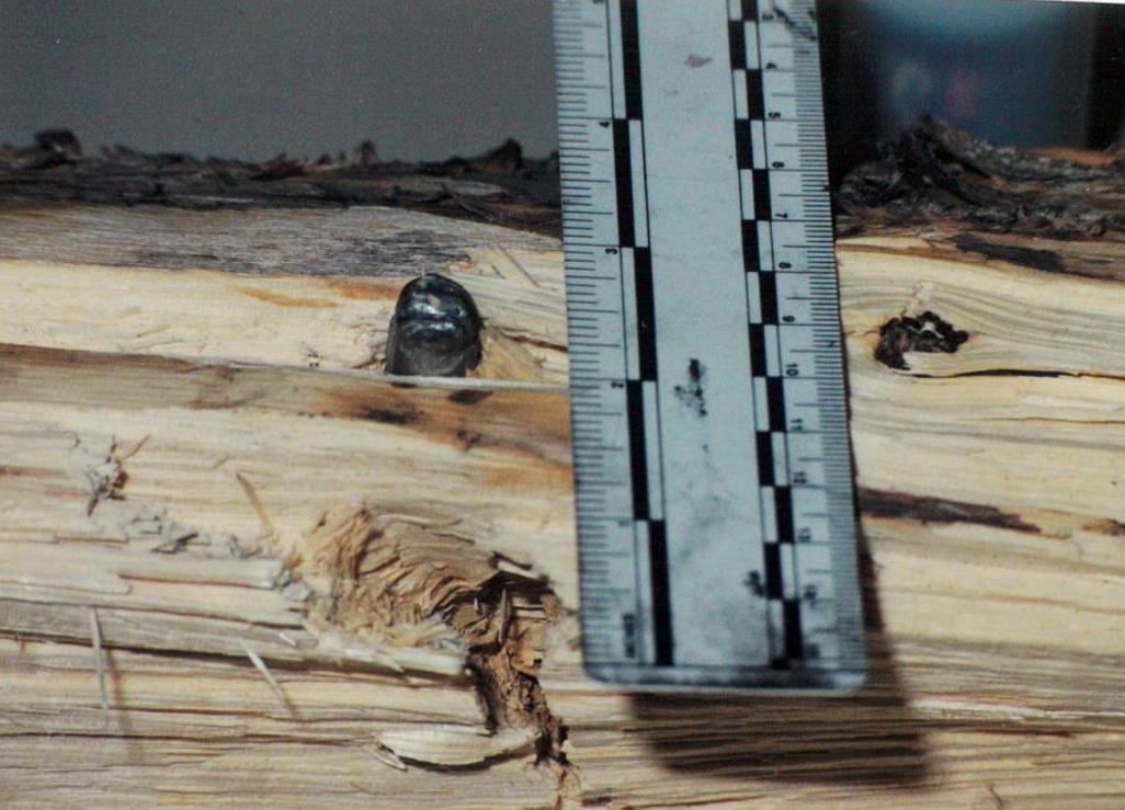 Salt Lake County sheriff’s detectives recovered a slug from the murder weapon used earlier by Jorge Benvenuto for target practice.