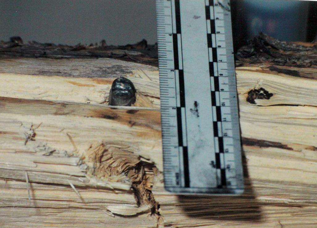 Salt Lake County sheriff’s detectives recovered a slug from the murder weapon used earlier by Jorge Benvenuto for target practice.