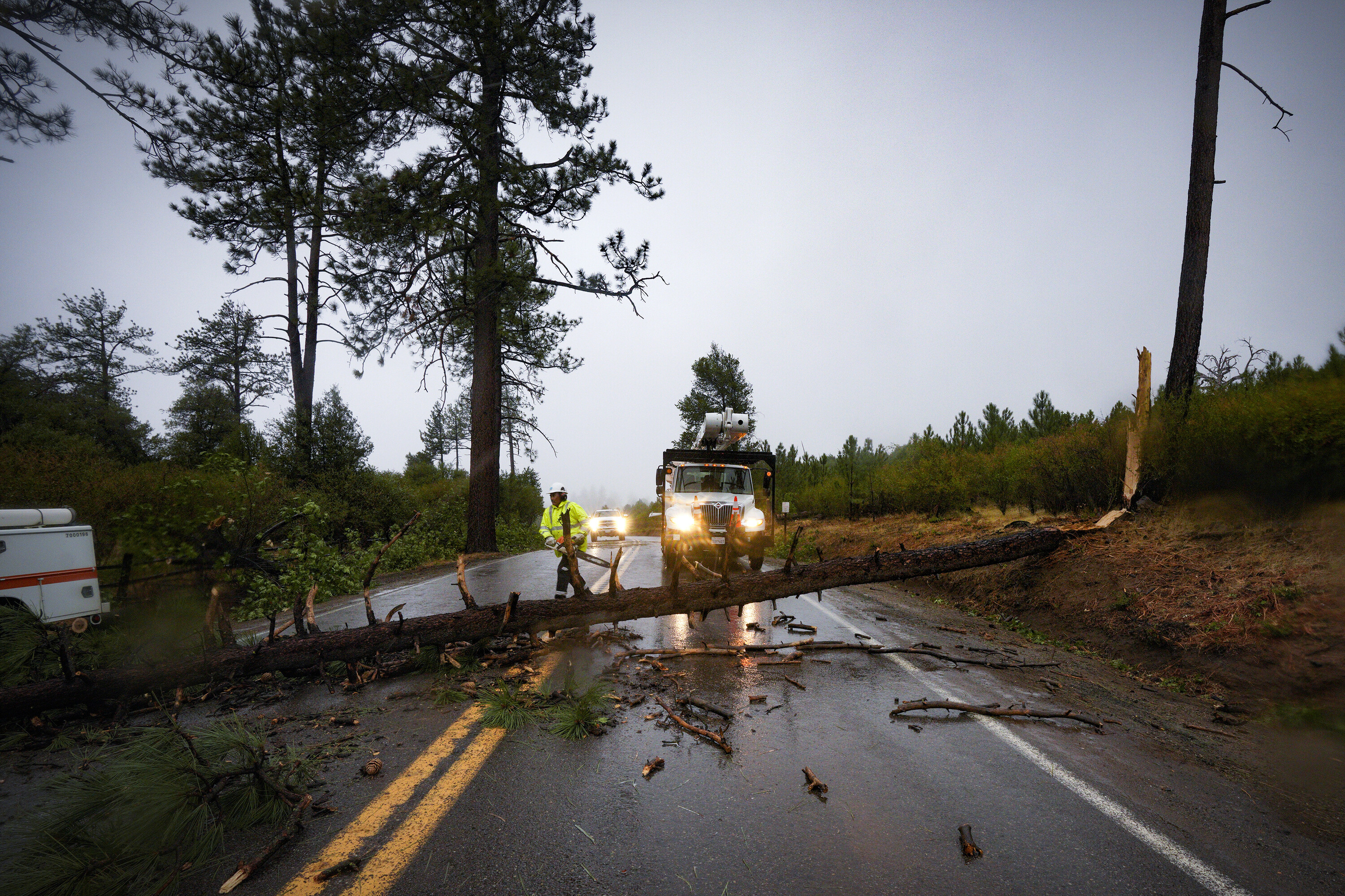 Caltrans workers remove a fallen tree in San Diego on Friday.