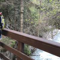 Driver who made 'mistake of my life' in fatal crash seeks parole