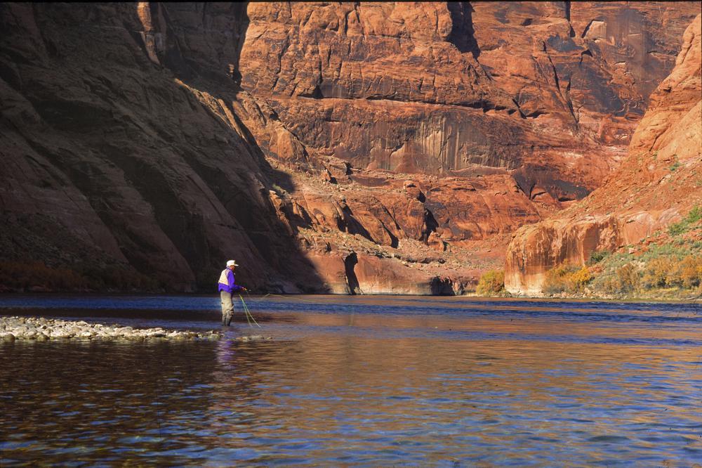 An angler casts a line at Lees Ferry near Marble Canyon, Ariz. June 7, 2011. From prized rainbow trout to protected native fish, declining reservoirs are threatening the existence of these creatures, and also increasing the cost of keeping them alive.