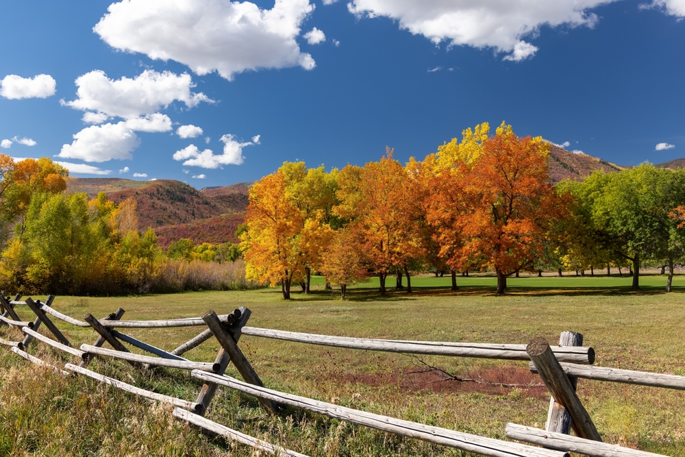 Utah Adventures with Maverik: 11 places to see stunning fall colors in Utah