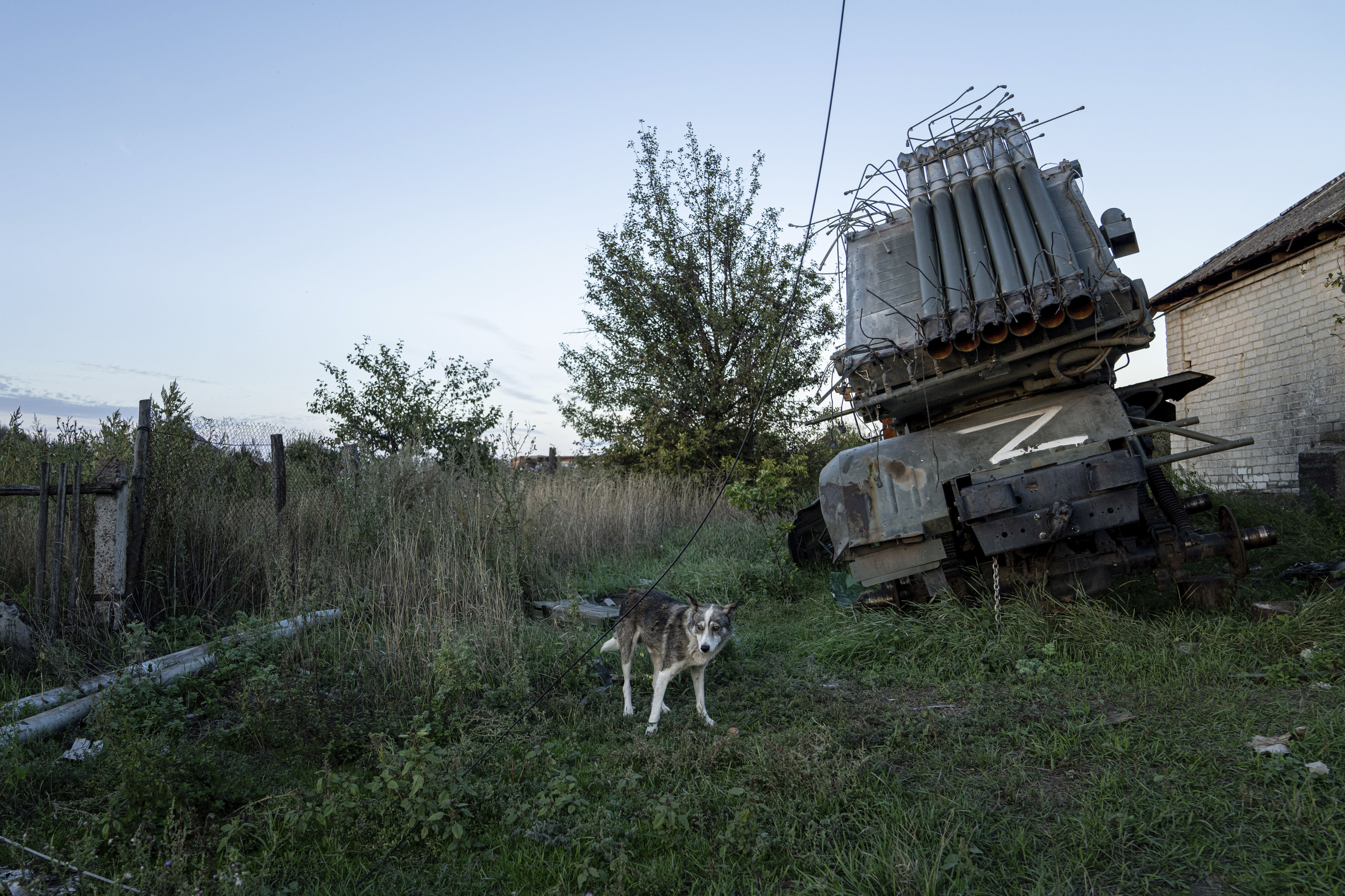 A dog walks in front of destroyed Russian MSLR BM-21 Grad with sign "Z" in the recently retaken area of Kamyanka, Ukraine, Monday.