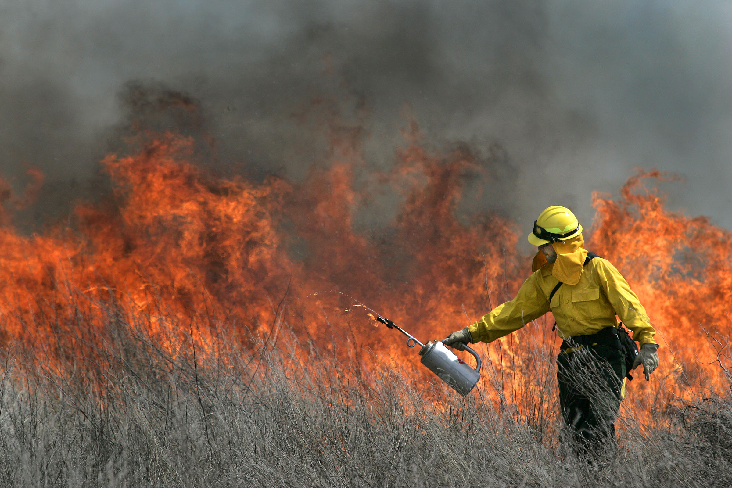 How much would the Great Salt Lake benefit without phragmites? 