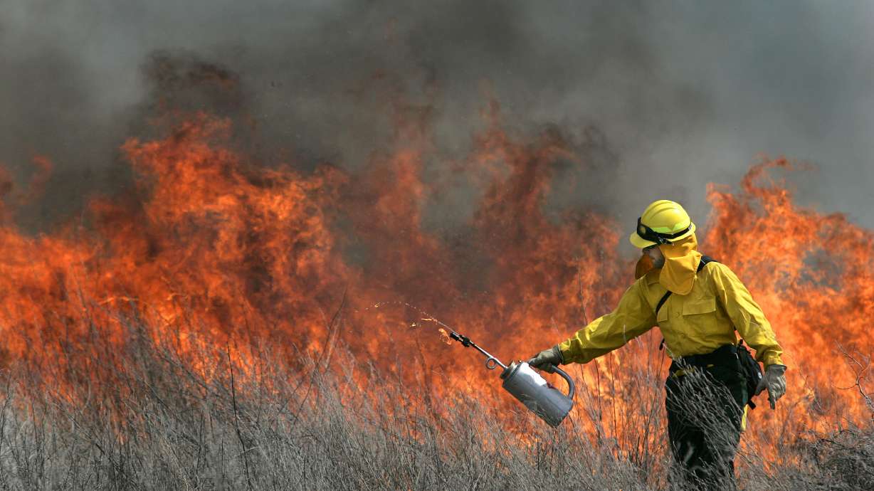 Chris McFarland douses phragmites with flames in Farmington Bay along the Great Salt Lake in Davis County on March 19, 2008. Removing phragmites around the Great Salt Lake could present "many win-win solutions," including more water for the lake, state experts say.