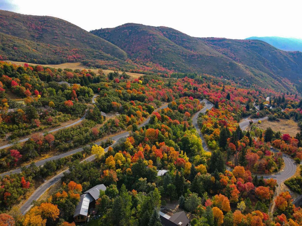 6 Utah Valley drives where you can see spectacular fall colors