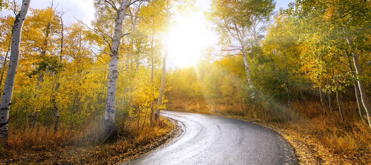 6 Utah Valley drives where you can see spectacular fall colors