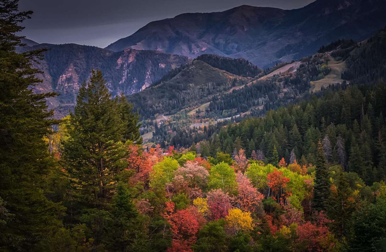 6 Utah Valley drives where you can see spectacular fall colors