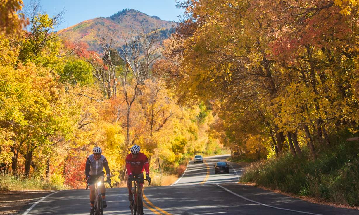 A pair of bicyclists travel down Millcreek Canyon on Oct. 2, 2021.