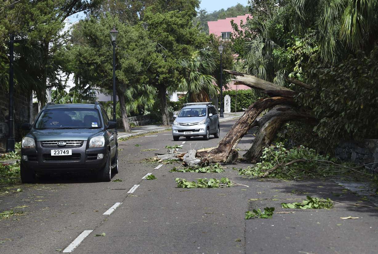 Vehicles drive around trees felled by Hurricane Fiona, in Hamilton, Bermuda, Friday.