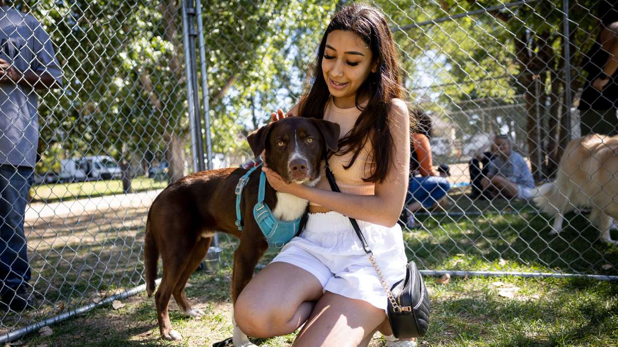 Blanca Aguilar gets to know Rex during the Petapalooza adoption event at Wheeler Historic Farm in Murray on Saturday.