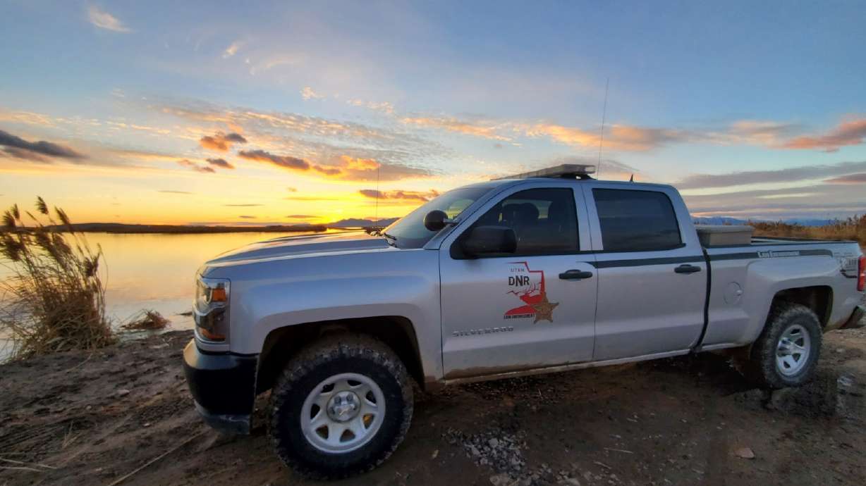 The Utah Division of Wildlife Resources reports that 319 wild animals have been killed illegally in the state from Aug. 1 through Friday.