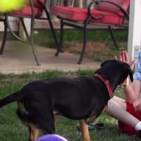 3-legged dog gives Utah boy courage to deal with rare genetic disorder