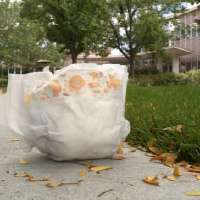 BYU researchers using dirty diapers to develop new autism test