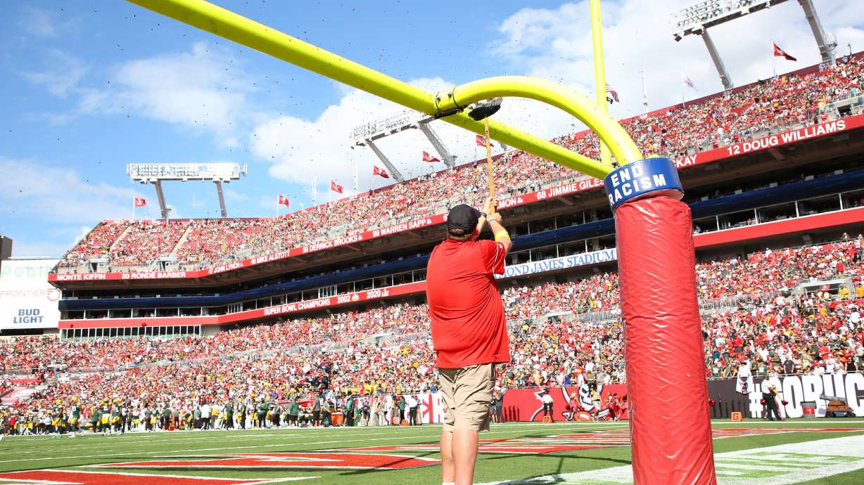 Honey bees are swept from an upright at the beginning of the NFL football game between the Tampa Bay Buccaneers and the Green Bay Packers on Sunday, Sept. 25, 2022, at Raymond James Stadium in Tampa, Fla.