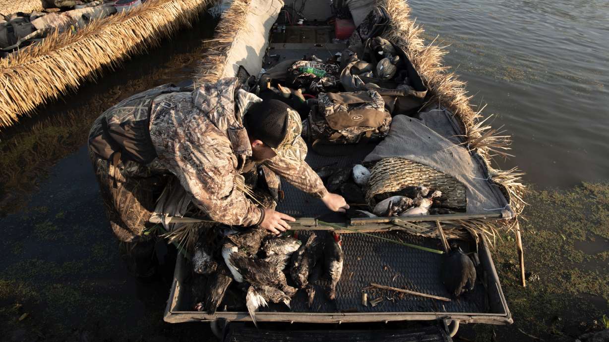 A waterfowl hunter at a Utah waterfowl management area on Oct. 5, 2020. Many of Utah's general waterfowl hunts begin on Saturday.