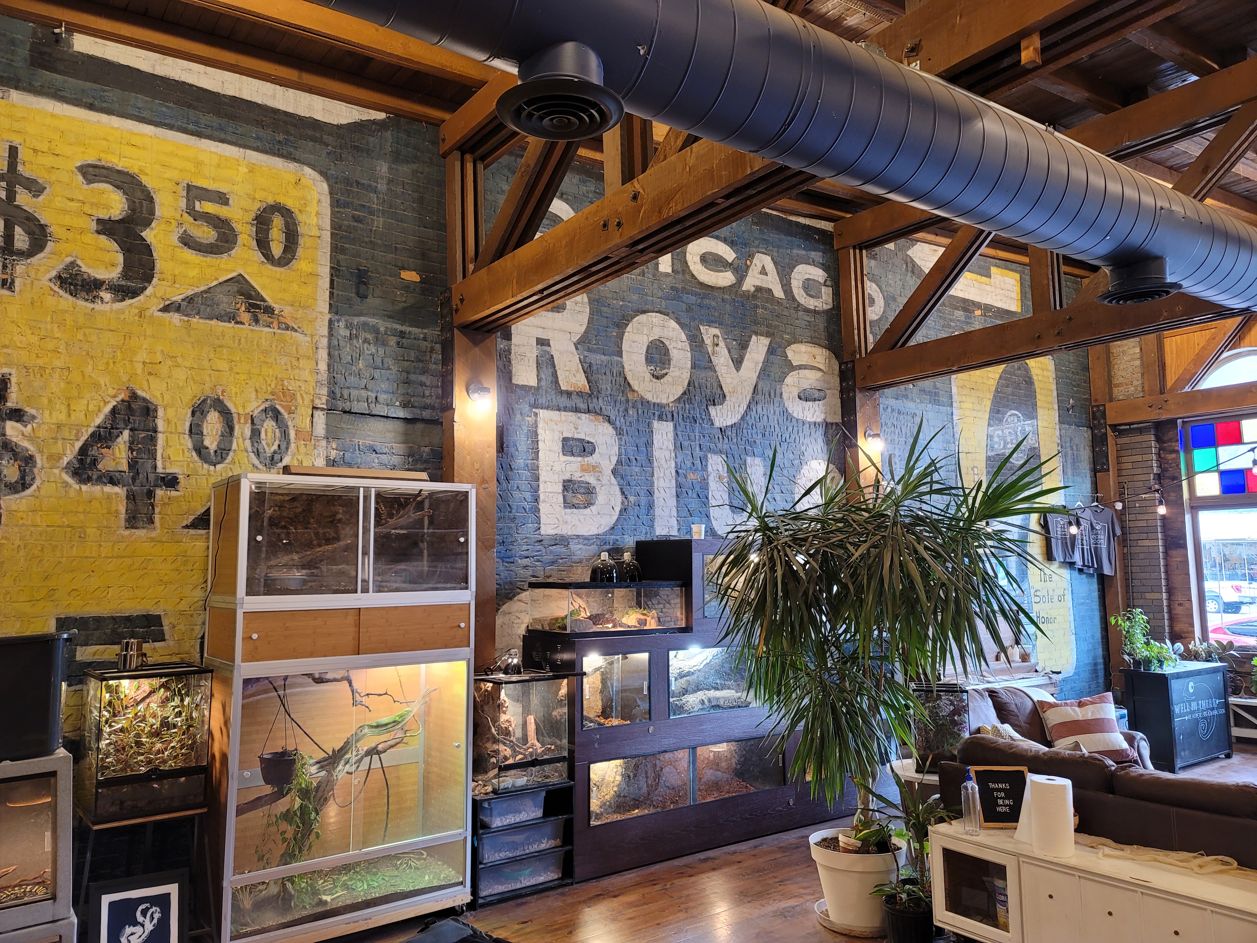 Reptile enclosures and a mural are seen at Clint's Reptile Room, in Springville.