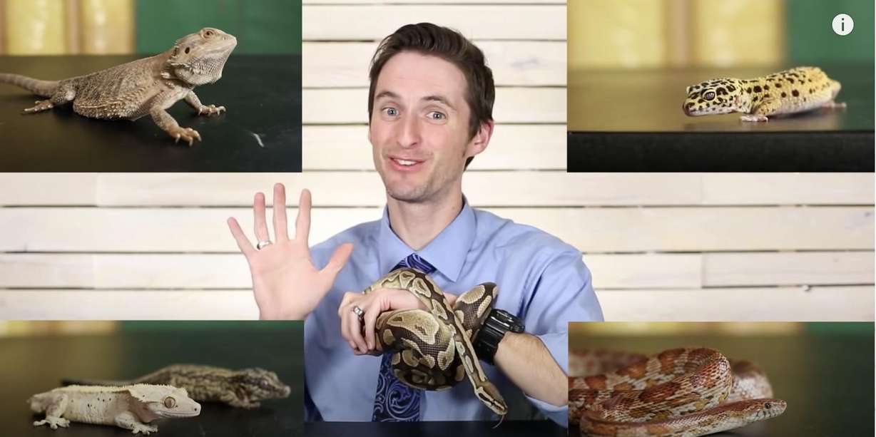 Clint Laidlaw is seen in a YouTube video where he evaluates the reptiles he believes are best suited as pets.