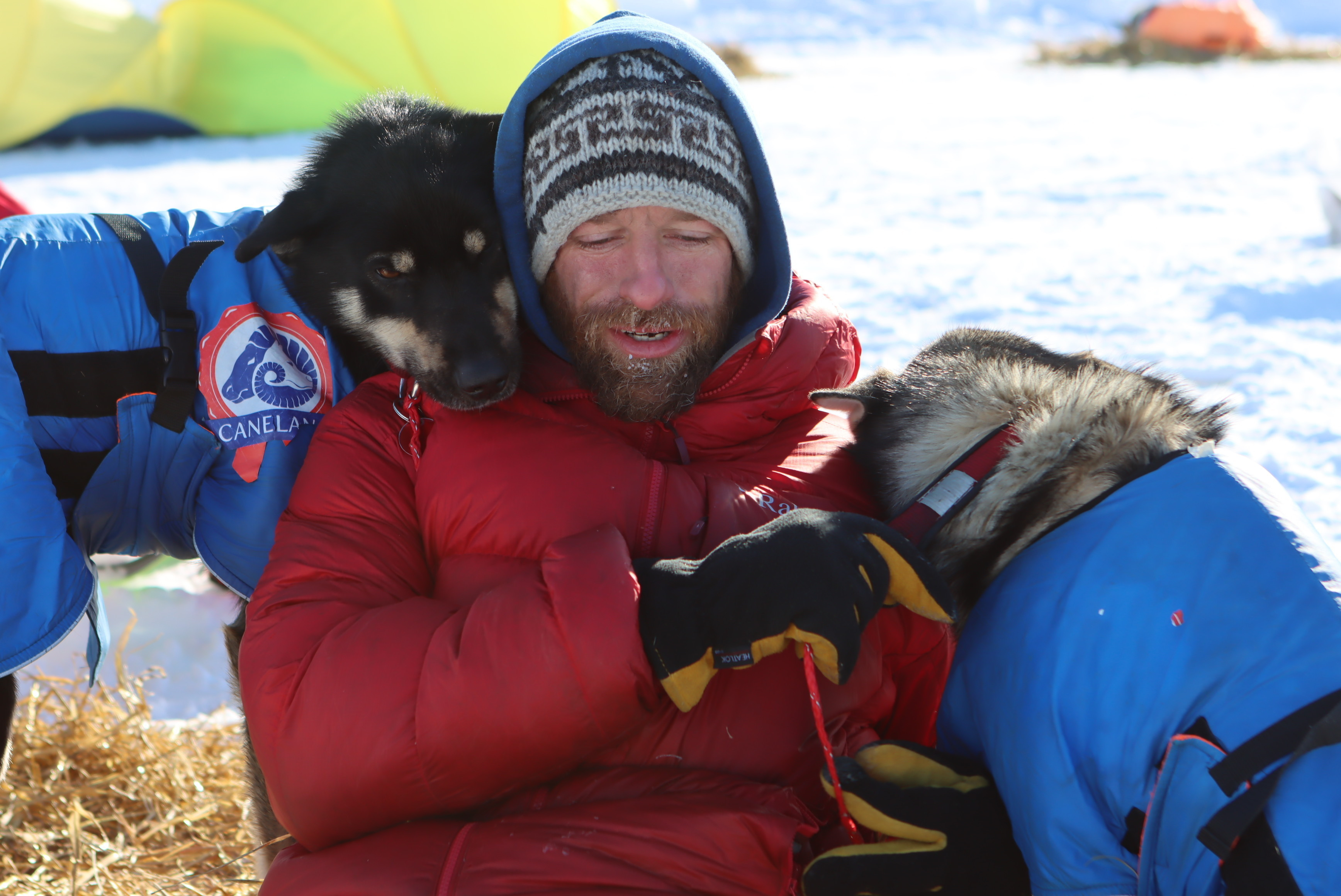 FILE - Musher Jessie Holmes takes a break from cooking his dogs a meal to nuzzle with two wheel dogs at the Ophir checkpoint during the Iditarod Trail Sled Dog Race on March 10, 2021, in Alaska. The television star and Iditarod musher sustained injuries this week when helping clean up storm damage along the Bering Sea coast. Jessie Holmes, who since 2015 has starred in "Life Below Zero," about life in rural Alaska produced by National Geographic TV, was injured by falling debris in a building in the community of Golovin on Wednesday, Sept. 28, 2022, the Anchorage Daily News reported. He was flown for treatment to Nome and then sent on to an Anchorage hospital. 
