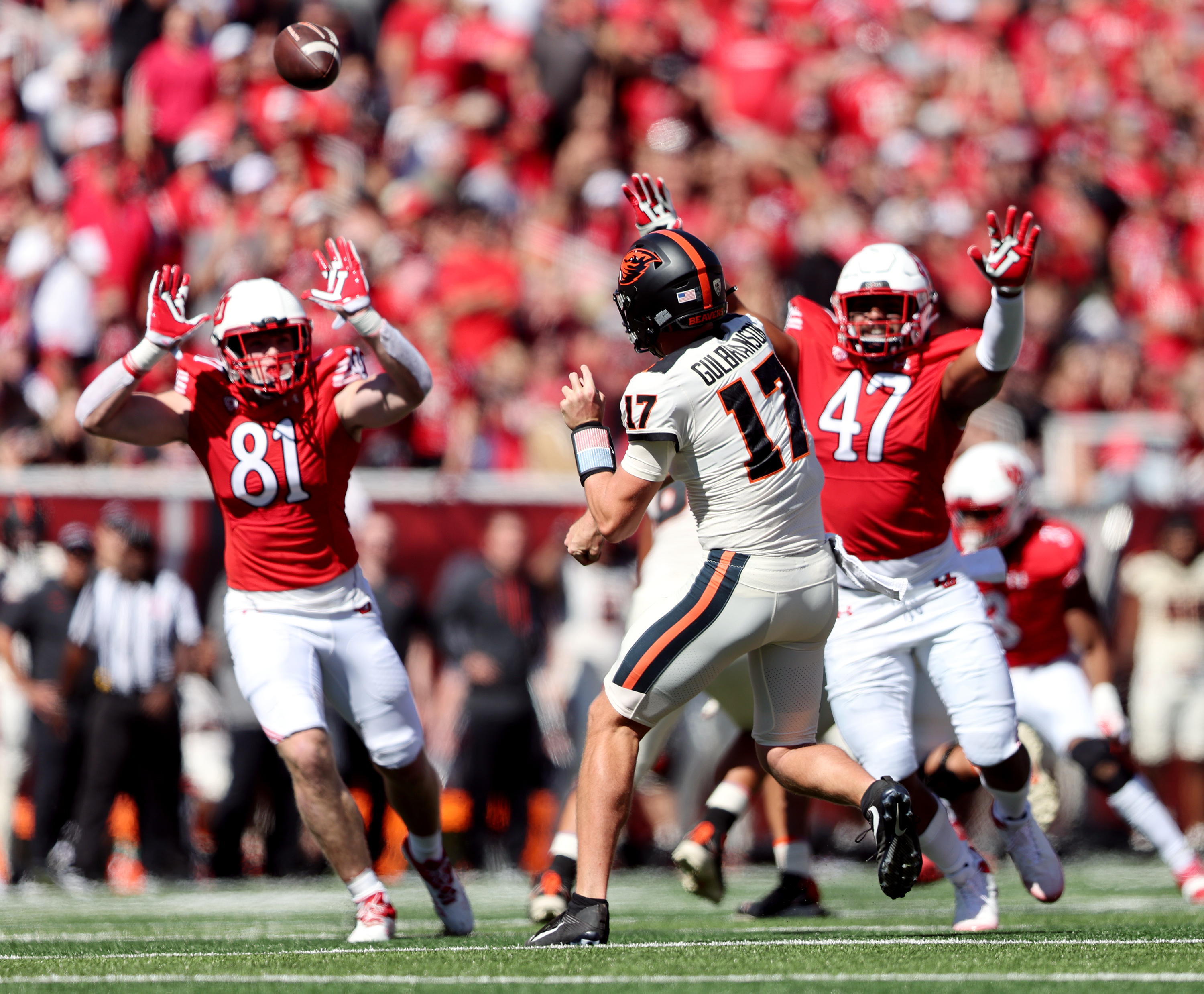 Oregon State Beavers defense delivers statement in 'statement win' over  Utah Utes 