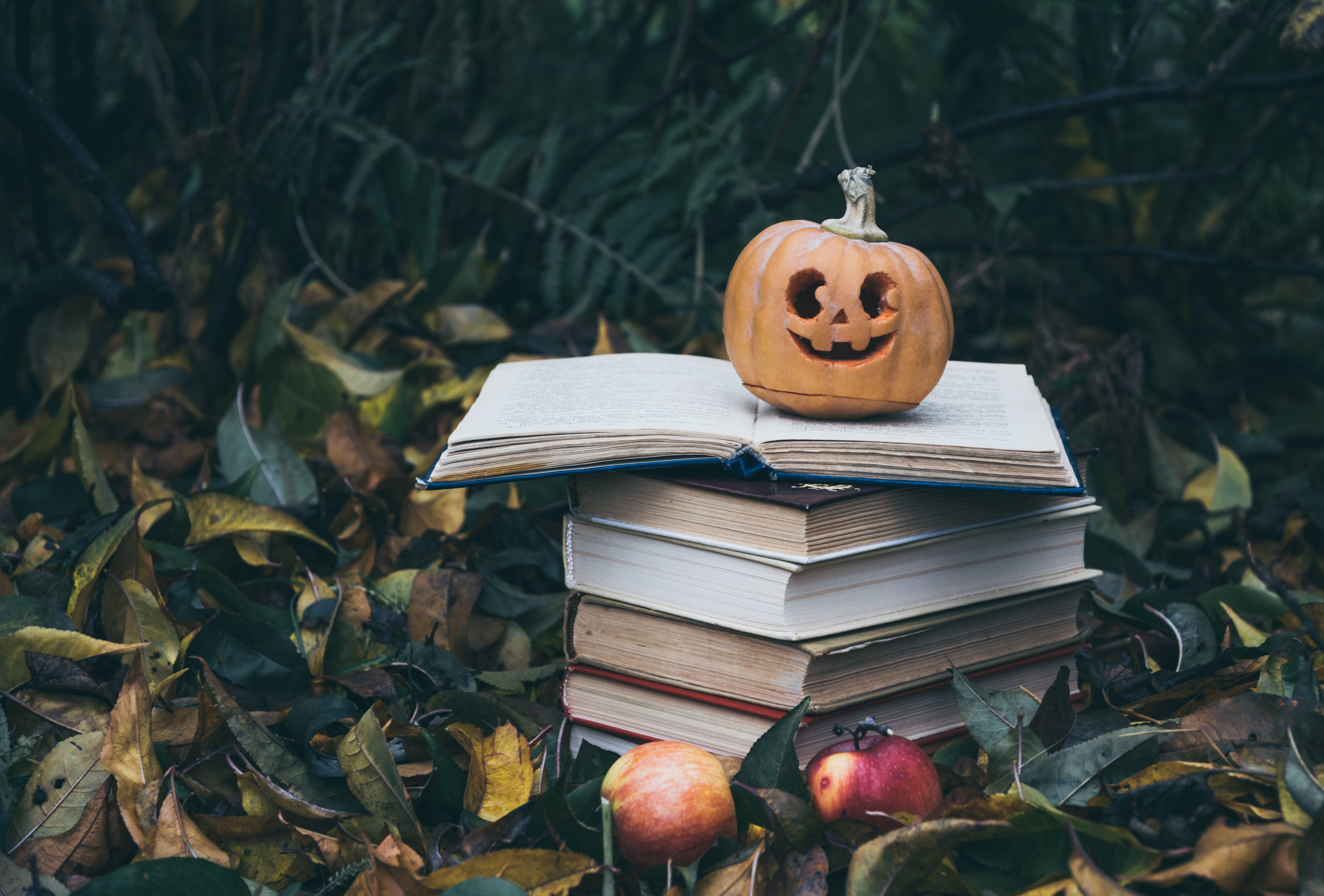 10 Halloween picture books to read with your children this month