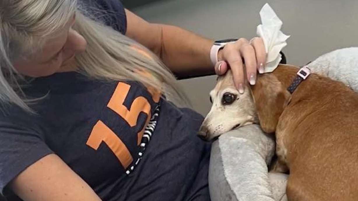 Lacey Randall with her dog, Bella, prior to euthanizing the dog following an attack by a deer in their front yard in Bountiful, Utah.