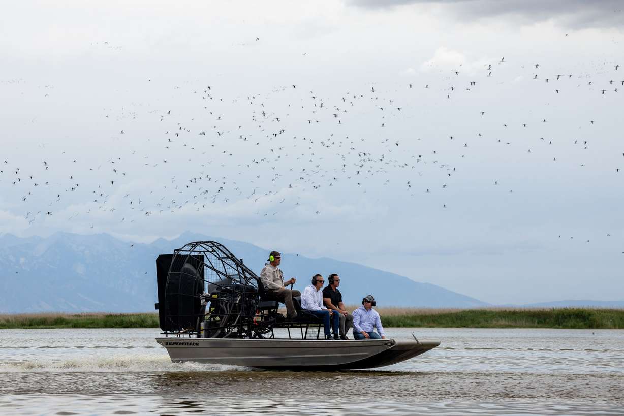 Chad Cranney, assistant wildlife manager for the Utah Division of Wildlife Resources, pilots a fan boat carrying Sen. Mitt Romney, R-Utah, Utah House Speaker Brad Wilson, R-Kaysville, and Utah Rep. Joel Ferry, R-Brigham City, left to right, on a tour of the Great Salt Lake in Farmington Bay on Friday, Aug. 19.