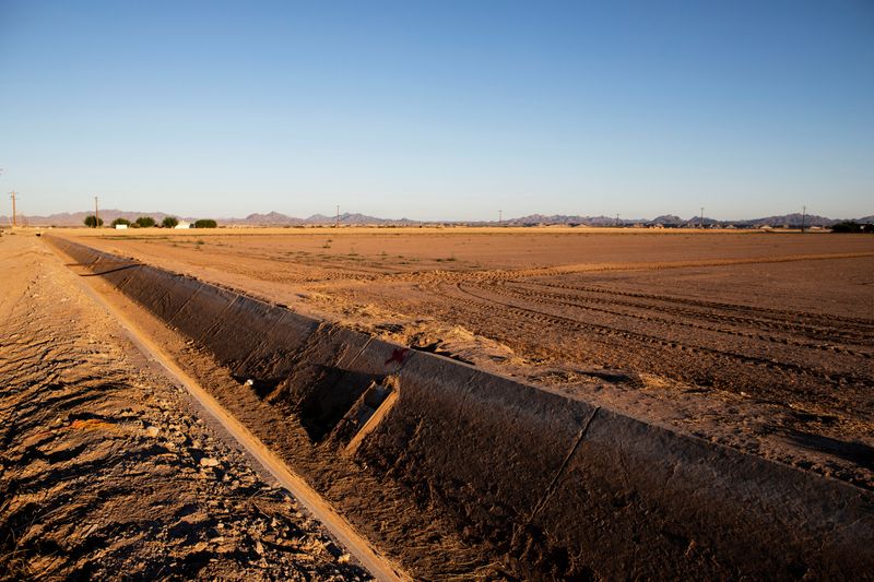 A view of a fallow field and a dry irrigation canal in Palo Verde, Calif., Sept. 19.