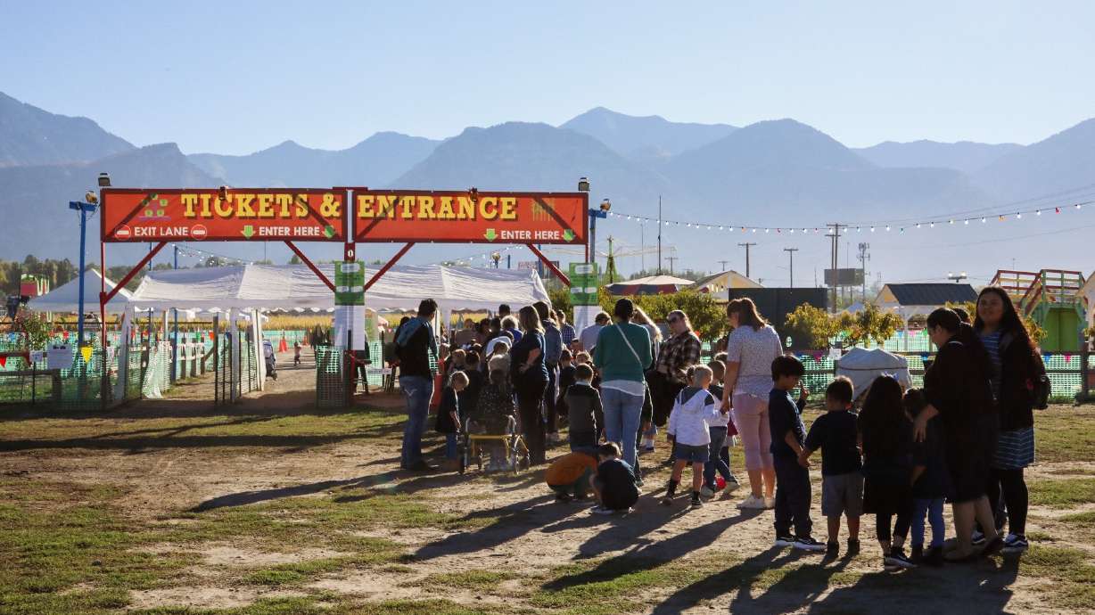 After a controversial split vote on rezoning the Wilkerson Farm property for housing development, residents are hoping to be able to decide for themselves on the issue through a referendum.