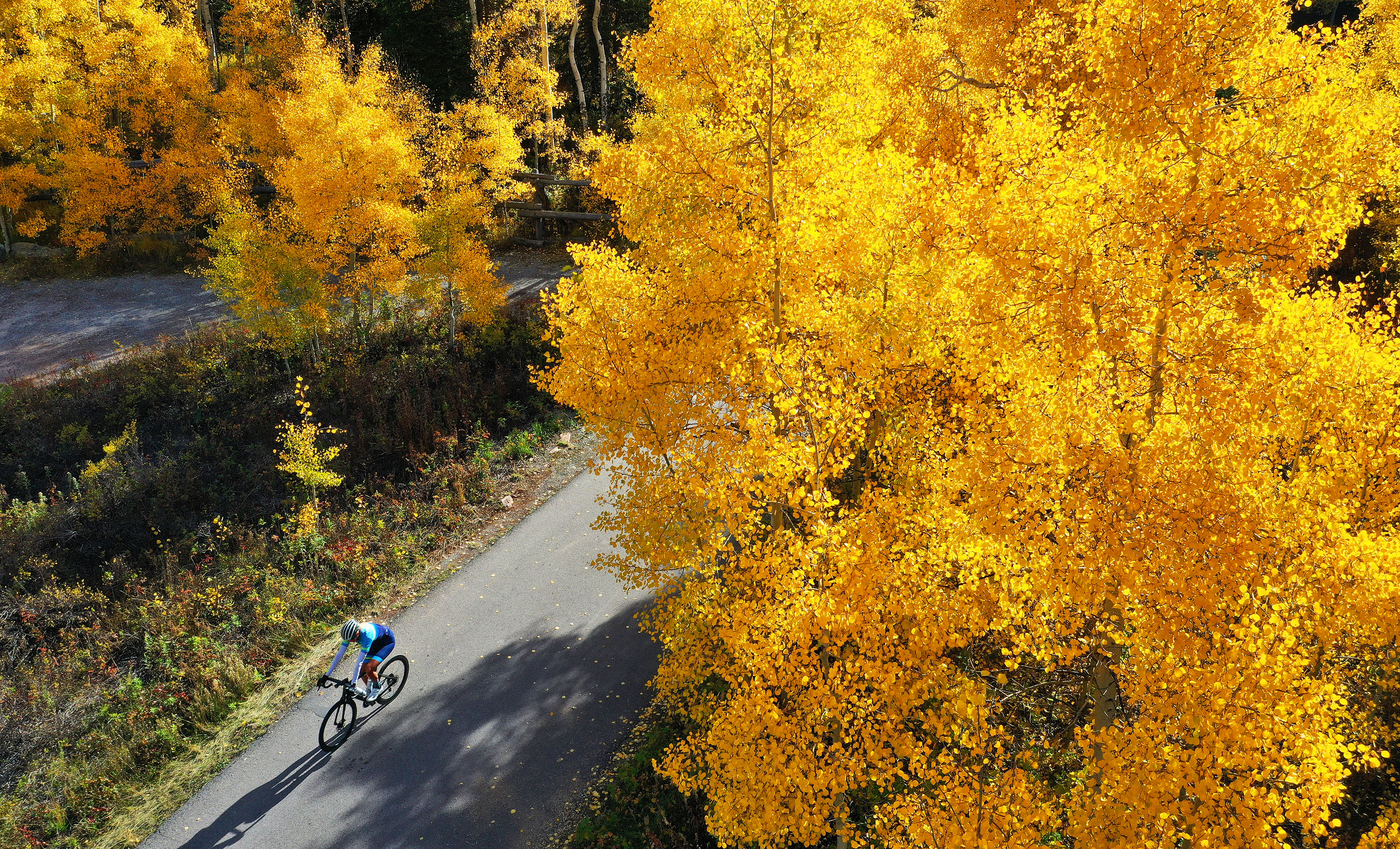 A biker rides down Lambs Canyon on Tuesday, Oct. 11. An interagency fuel reduction project will be taking place in the Parleys Canyon area to improve the health of the Parleys Creek watershed and enhance the wildlife habitat in the area. One of the outcomes is to maintain a sustainable recreational experience.