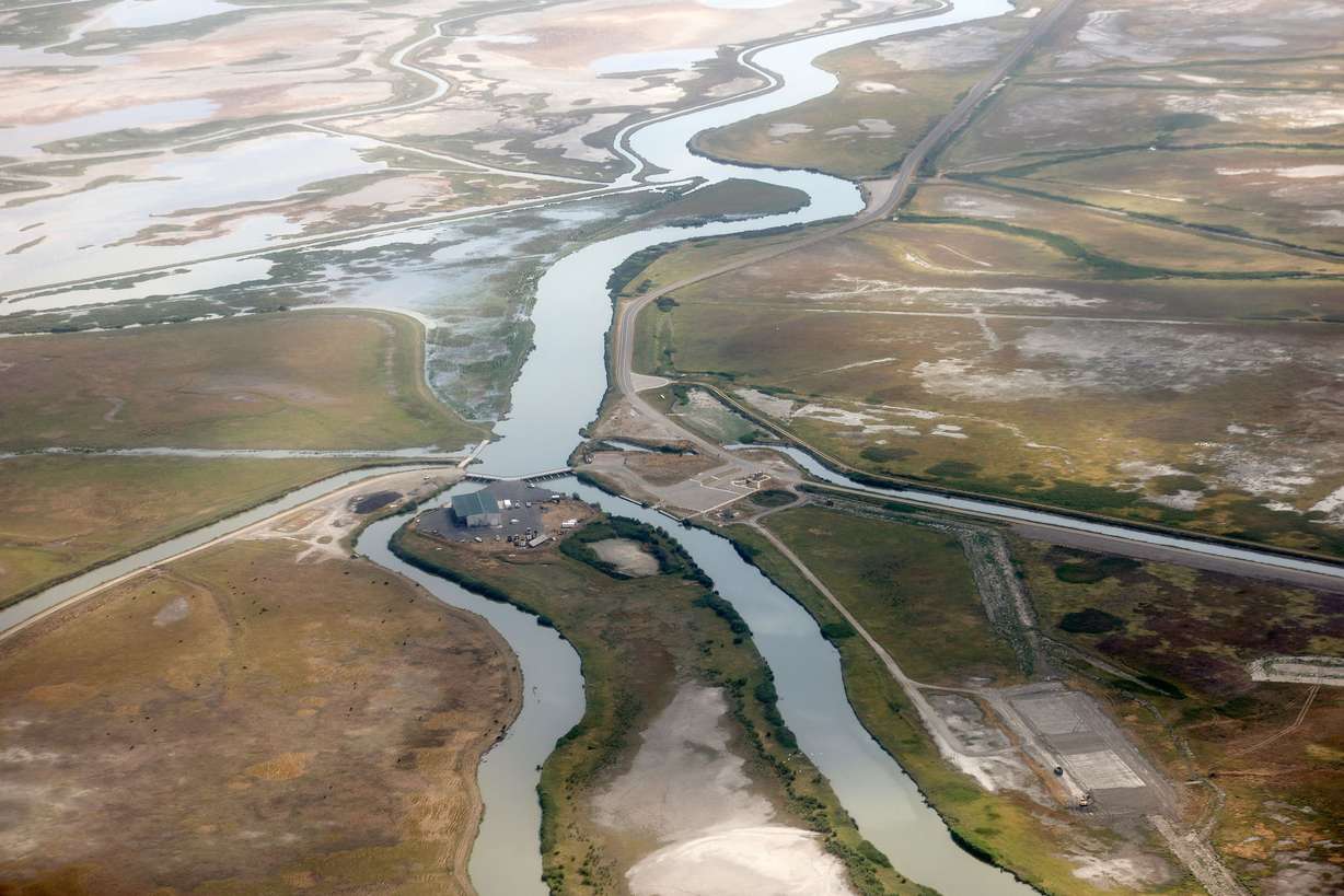 The area where the Bear River Migratory Bird Refuge auto tour begins is pictured on Aug. 4. The Bear River feeds the Great Salt Lake, but currently doesn’t reach the lake due to low water levels.