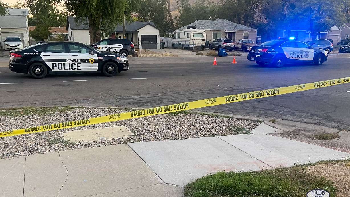 A domestic violence incident at an apartment on the 500 block of Dexter Street in Salt Lake City early Saturday morning led to a SWAT team response, and police say they took a man into custody.