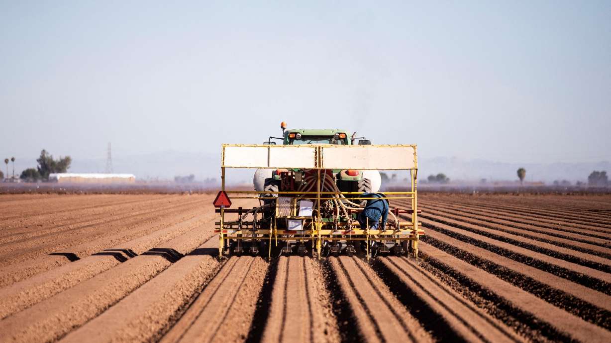 The U.S. Department of Agriculture has begun providing debt relief to thousands of farmers with operations at financial risk.