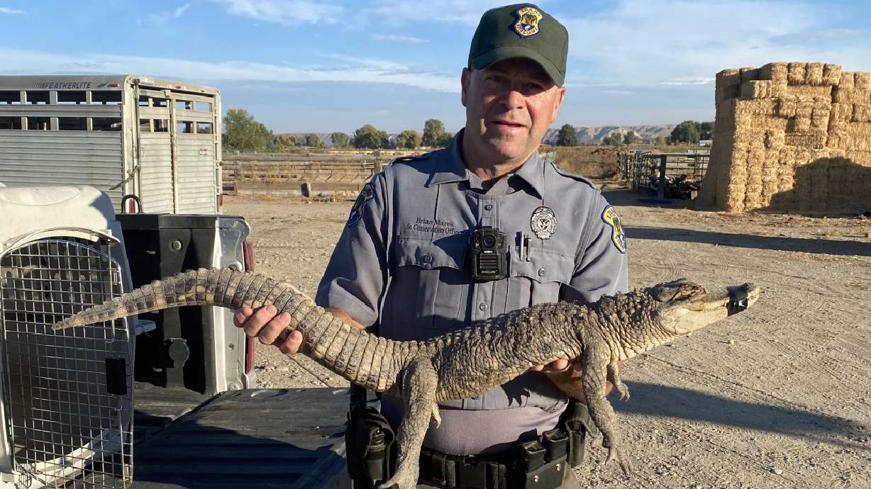 An Idaho man made a startling discovery Thursday night while walking his dog in western Idaho.