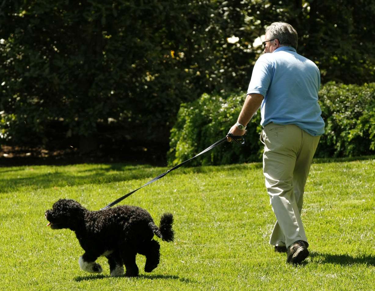 Dale Haney takes the first pet Bo for a stroll on the South Lawn of the White House in Washington, April 27, 2009.