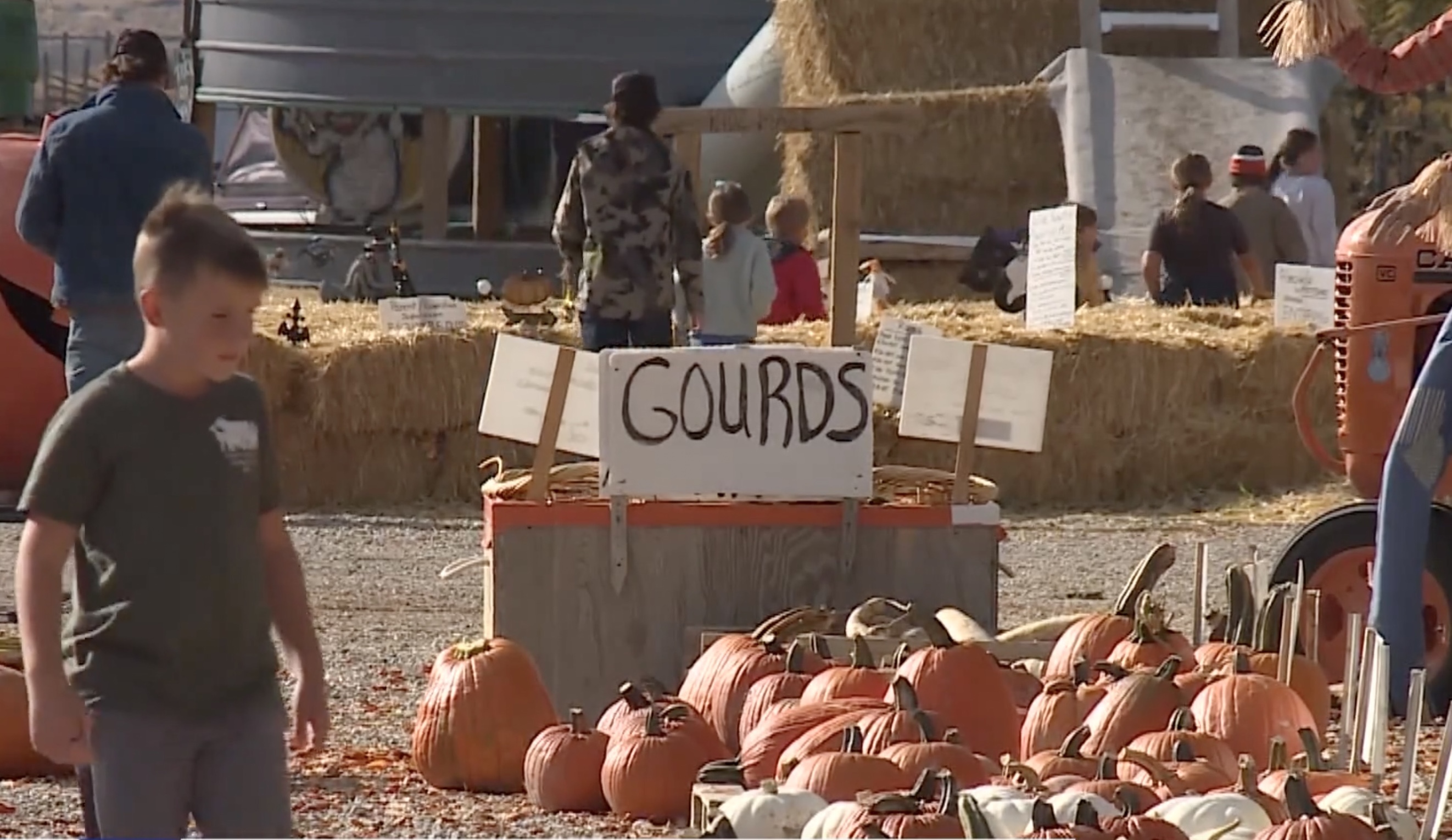 Utah’s summer drought causes pumpkin shortage