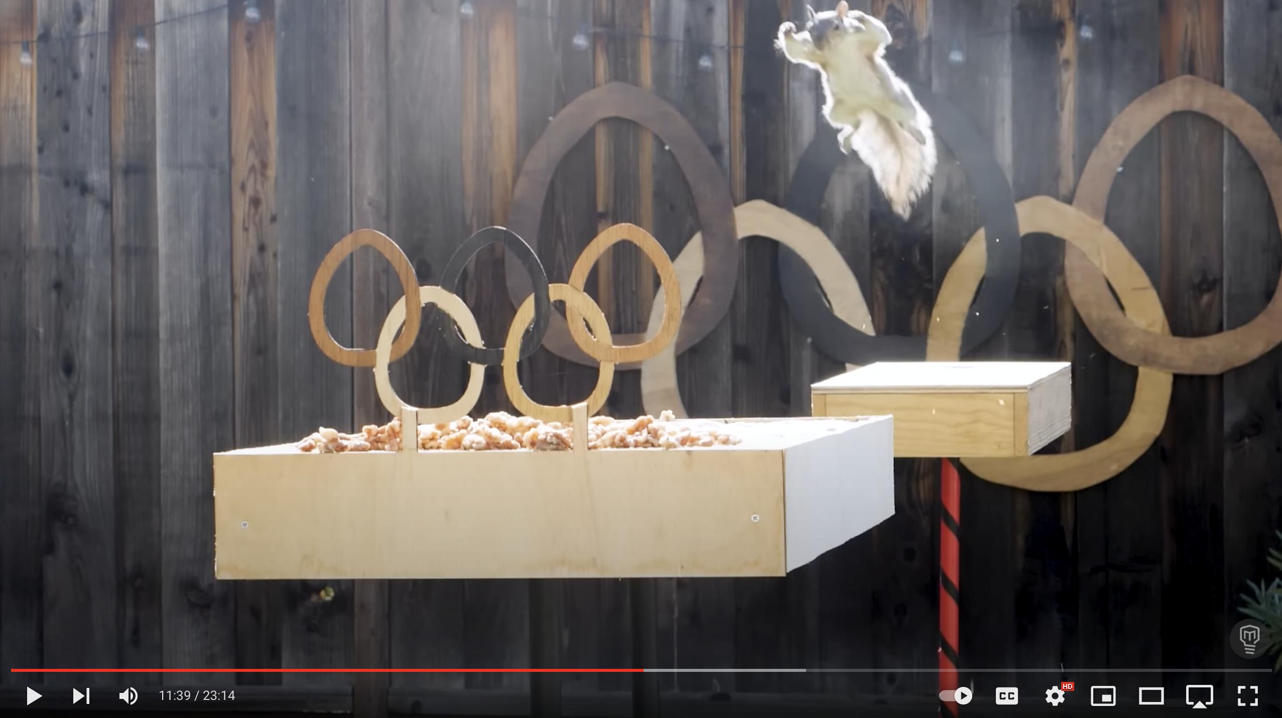 A squirrel competes in the "Backyard Squirrelympics" in a recent video posted by Mark Rober.