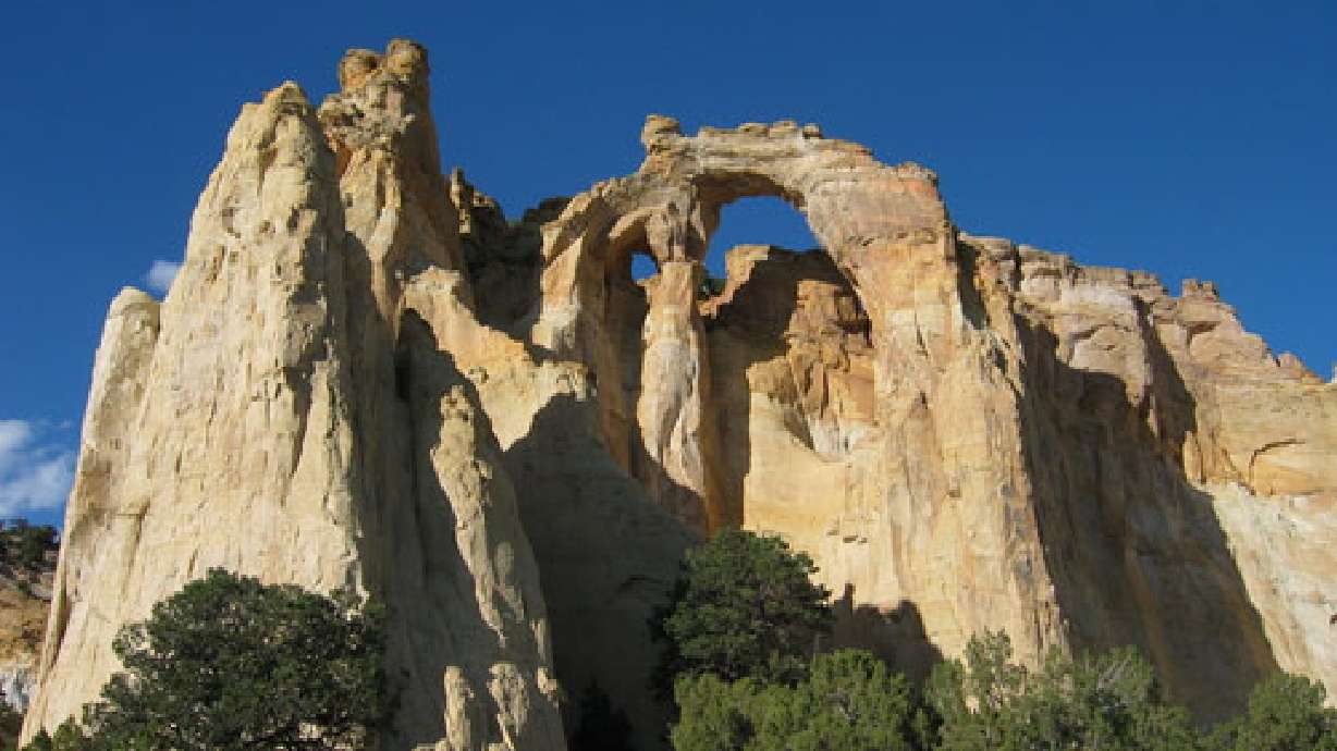Nation's public land being looted