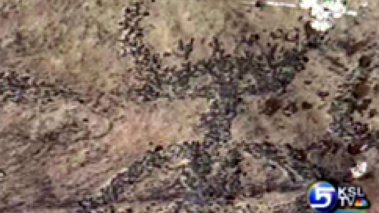 Eagle Mountain Hopes to Protect Rock Art